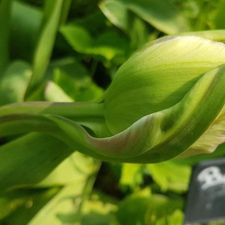 مبيت وإفطار Hoymille Les Jardins المظهر الخارجي الصورة