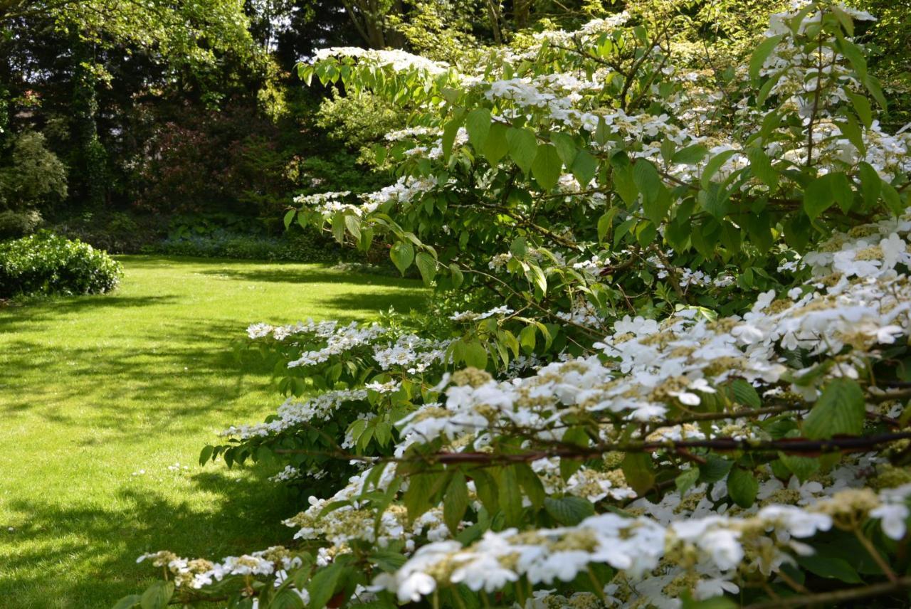 مبيت وإفطار Hoymille Les Jardins المظهر الخارجي الصورة