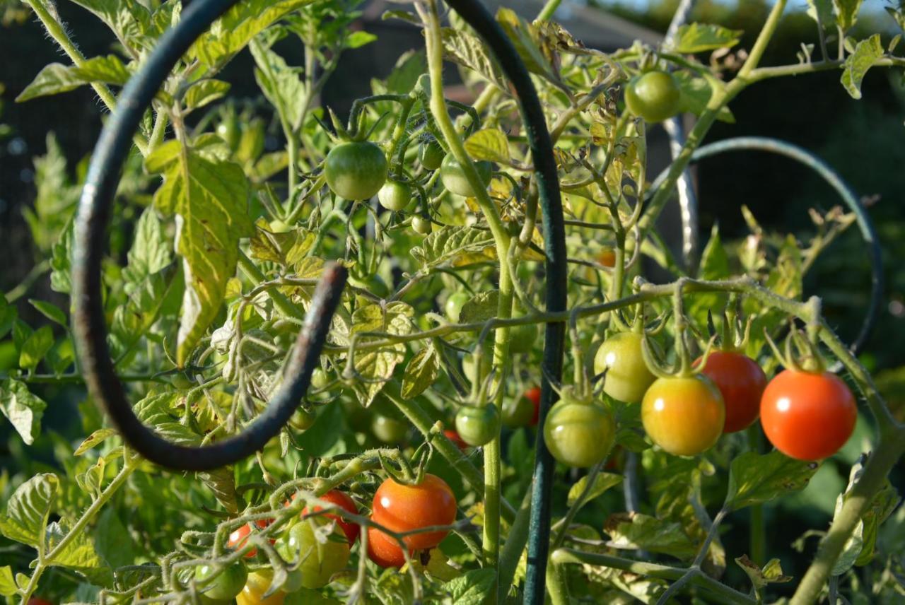 مبيت وإفطار Hoymille Les Jardins المظهر الخارجي الصورة